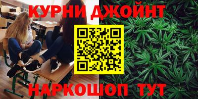стаф Новоалександровск