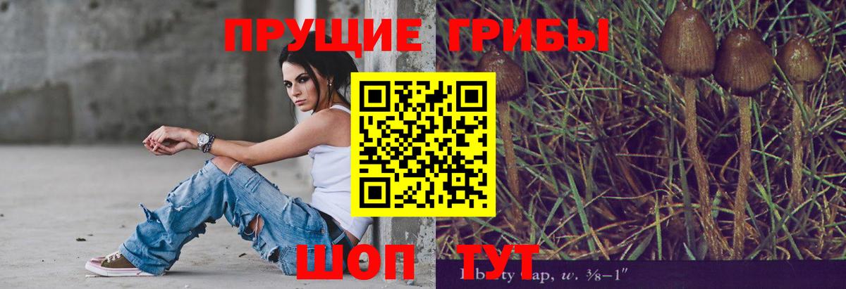 Егорьевск  Галлюциногенные грибы мицелий  Галлюциногенные грибы Magic Shrooms  Вход с VPN 